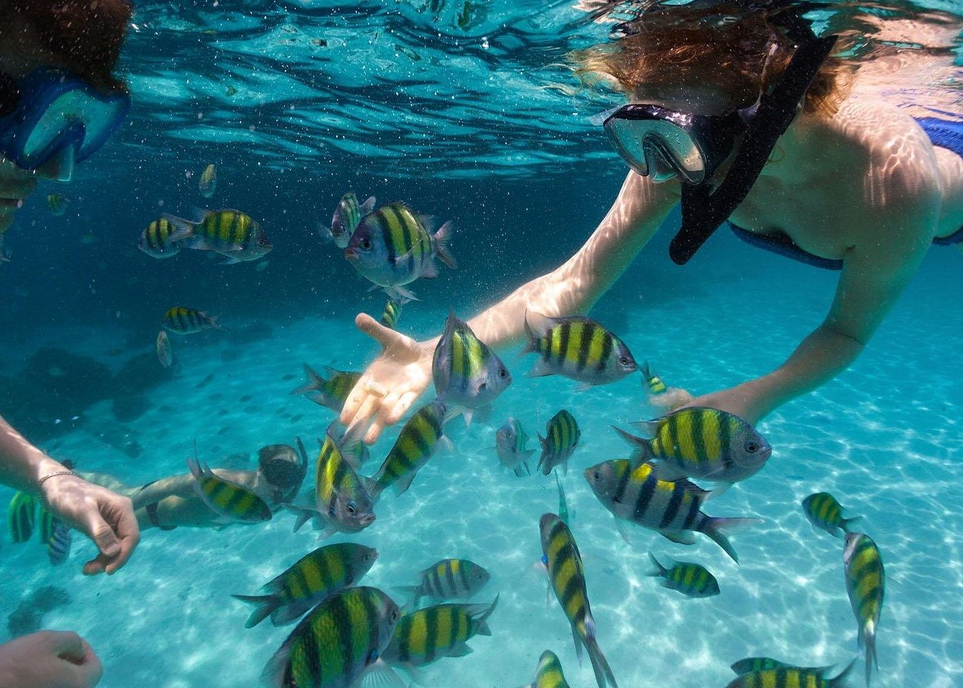 Miami to Key West Day Trip with Activity Options
